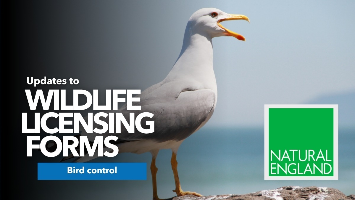 NaturalEnglandupdateswildlifelicensingforms1 NaturalEnglandupdateswildlifelicensingforms1